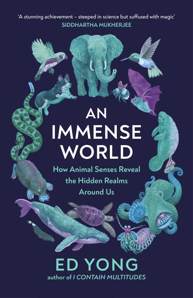 Ed Yong: An Immense World (Paperback, 2022, The Bodley Head Ltd)