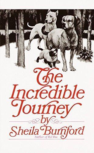 Sheila Burnford: The Incredible Journey (1995)