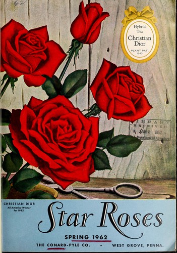 Henry G. Gilbert Nursery and Seed Trade Catalog Collection: Star roses (1962, Conard-Pyle Co.)