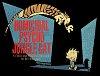 Bill Watterson: Homicidal Psycho Jungle Cat (Hardcover, 2001, Andrews McMeel Publishing)