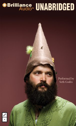 Seth Godin: We Are All Weird (AudiobookFormat, 2011, Brilliance Audio)