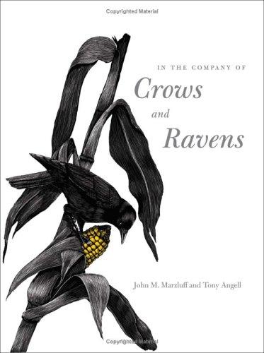 John M. Marzluff: In the company of crows and ravens (2005, Yale University Press)