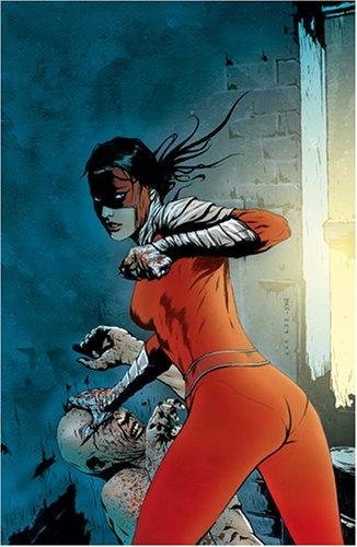 Marc Andreyko: Manhunter (Paperback, 2005, DC Comics)