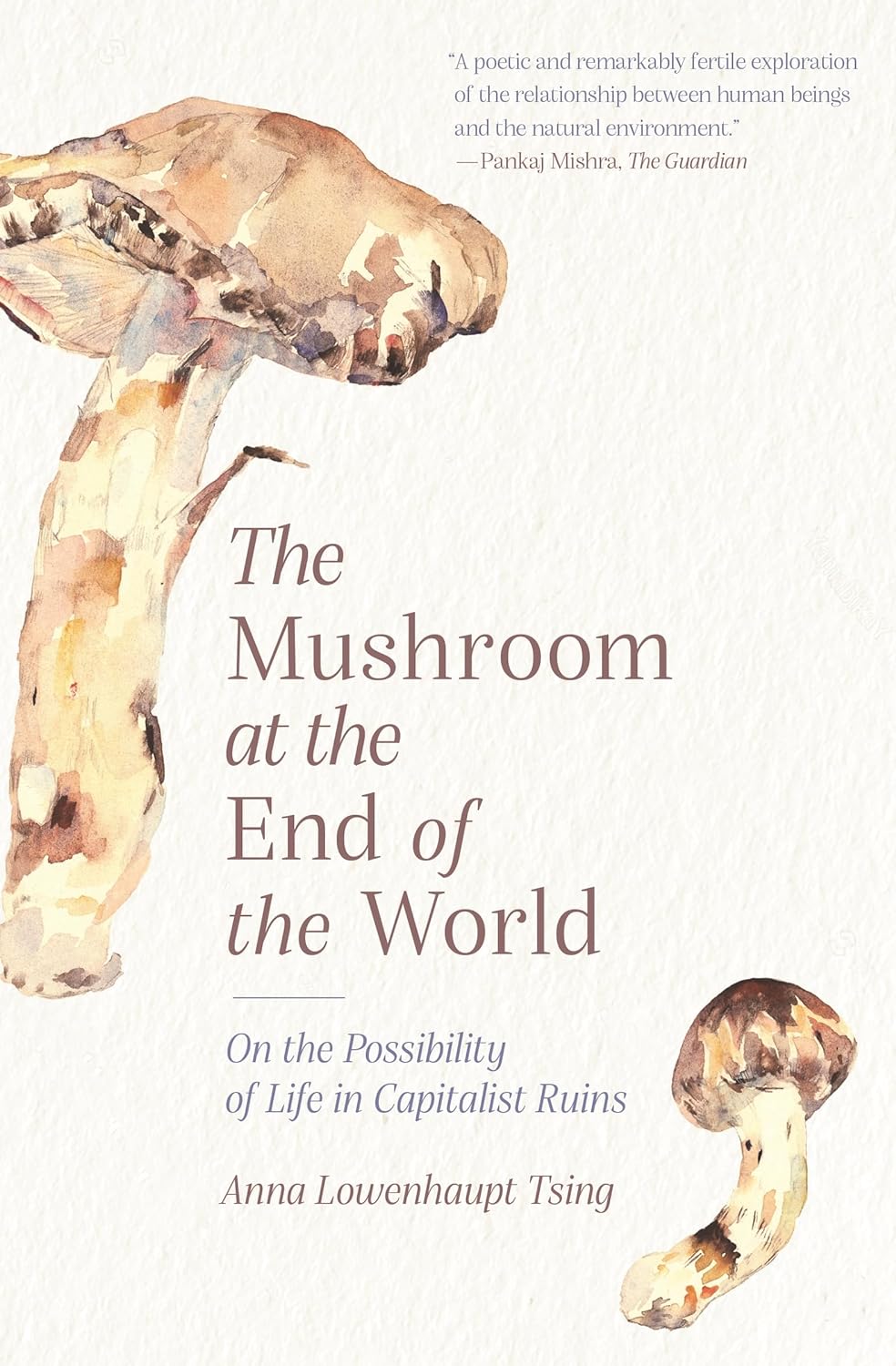 Anna Lowenhaupt Tsing: The Mushroom at the End of the World (2015)