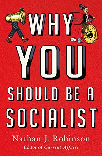 Nathan J. Robinson: Why You Should Be a Socialist (Hardcover, 2019, All Points Books)