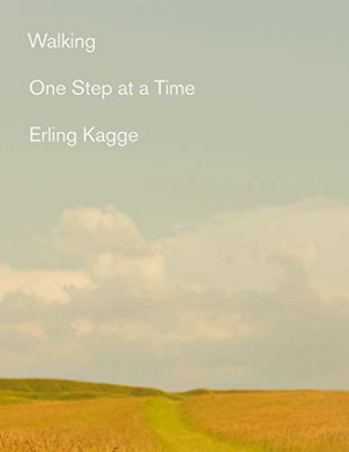 Erling Kagge, Becky L. Crook: Walking (Paperback, 2020, Vintage)