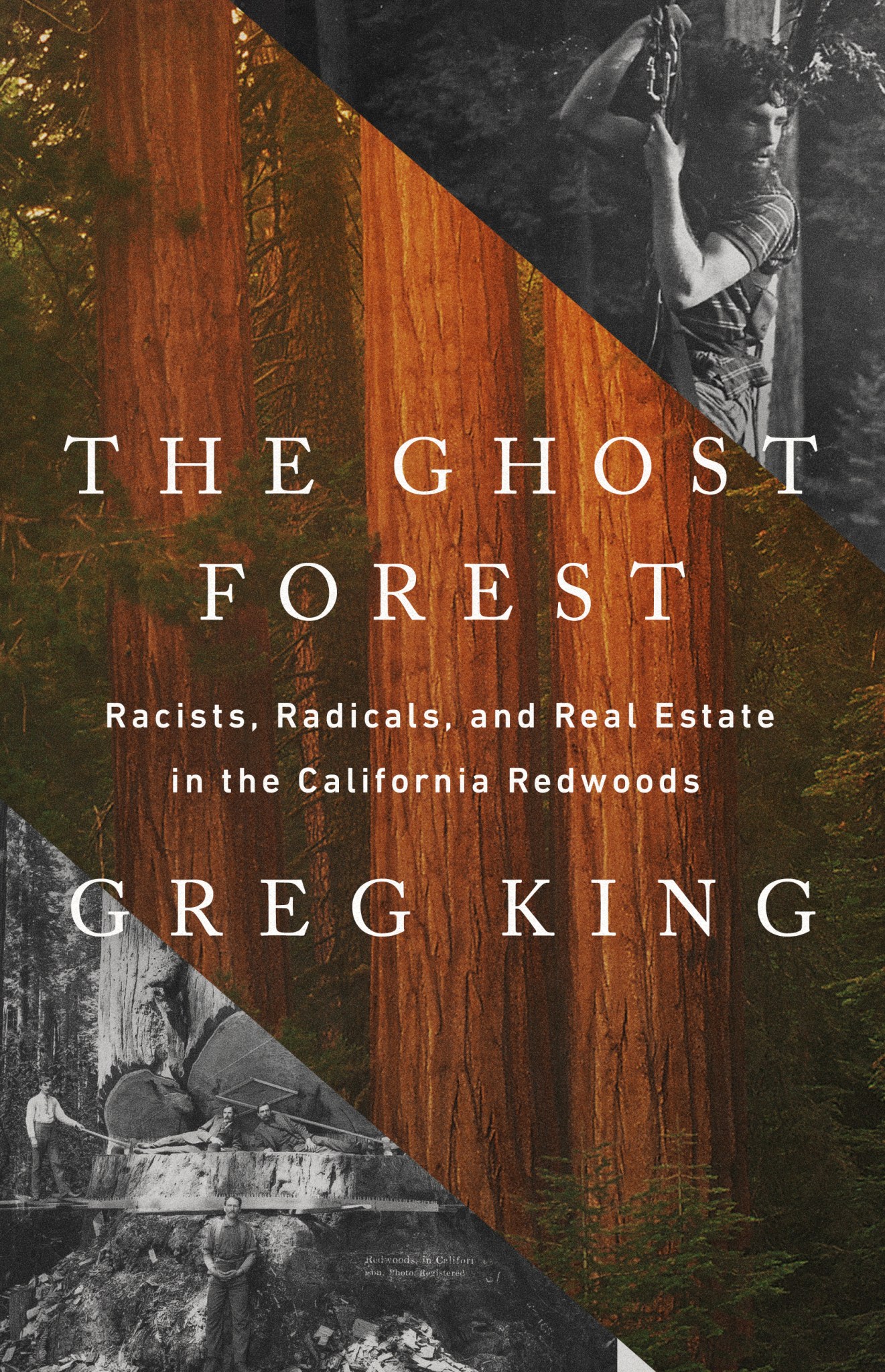 Greg King: The Ghost Forest (2023, PublicAffairs)