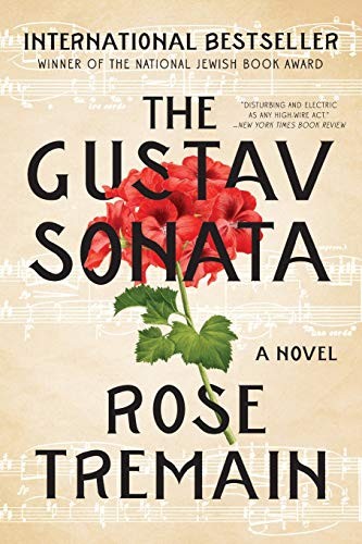 Rose Tremain: The Gustav Sonata (Paperback, 2017, W. W. Norton & Company)