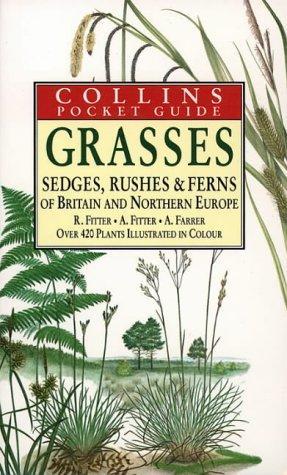 Richard Sidney Richmond Fitter, Ann Farrer, Alastair Fitter: Grasses, Sedges, Rushes and Ferns of Britain and Northern Europe (1984)