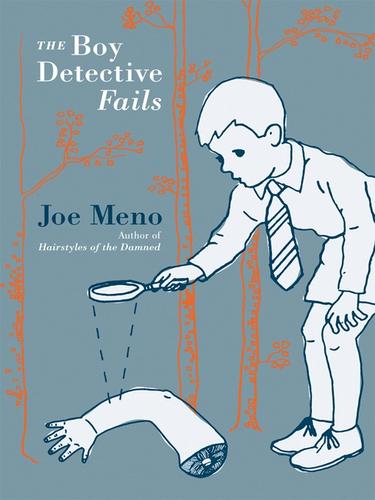 Joe Meno: The Boy Detective Fails (EBook, 2009, akashic books)