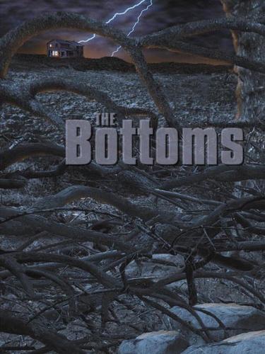 Joe R. Lansdale: The Bottoms (EBook, 2001, Grand Central Publishing)