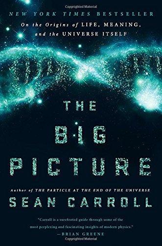 Sean M. Carroll: The Big Picture (2016)