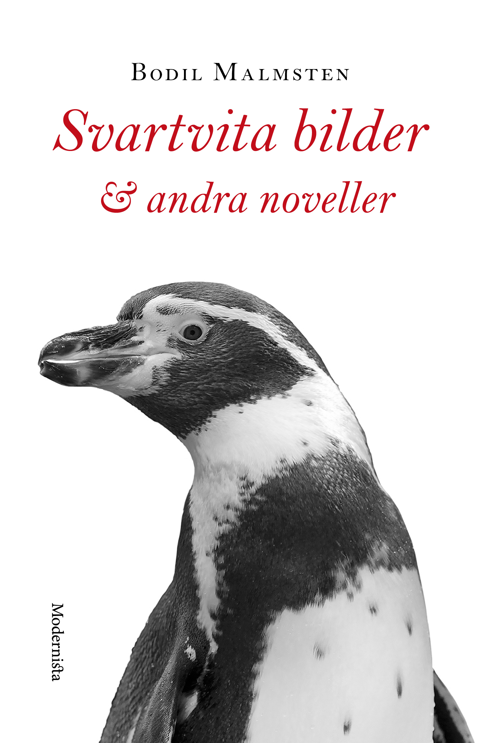 Bodil Malmsten: Svartvita bilder & andra noveller (Hardcover, Modernista)