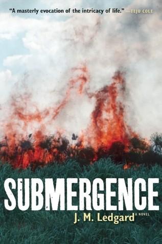 J. M. Ledgard: Submergence (2013)