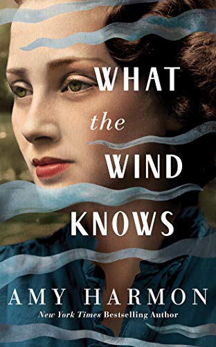 Will Damron, Saskia Maarleveld, Amy Harmon: What the Wind Knows (AudiobookFormat, 2019, Brilliance Audio)