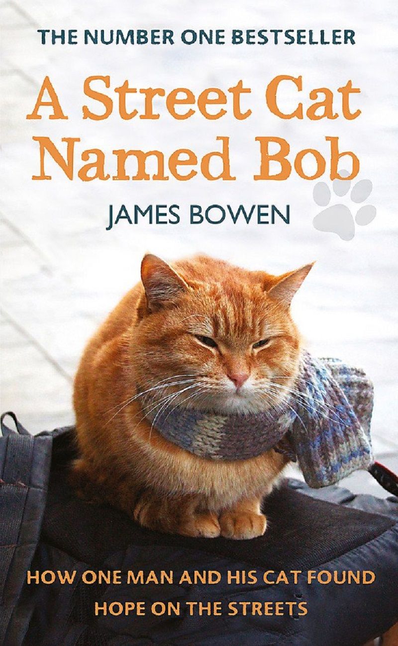 James Bowen: A Street Cat Named Bob (2013)