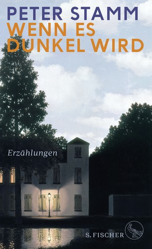 Peter Stamm: Wenn es dunkel wird (Hardcover, German language, 2020, S. FISCHER)