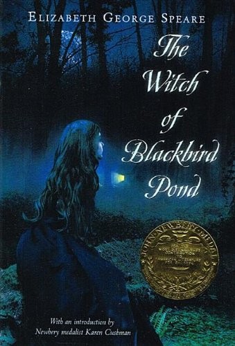 Elizabeth George Speare: Witch of Blackbird Pond (Hardcover, 2011, Perfection Learning)