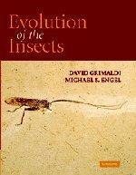 Michael S. Engel, David Grimaldi: Evolution of the Insects (2005)