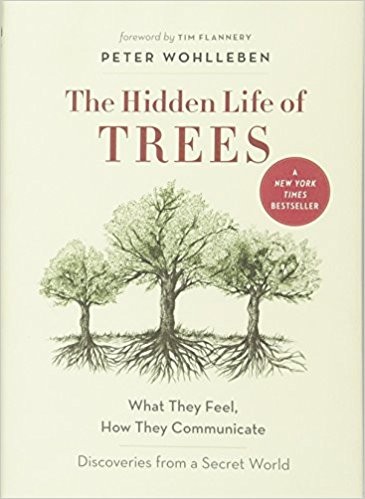 Peter Wohlleben, Les arenes: The Hidden Life of Trees (2016, Greystone Books)