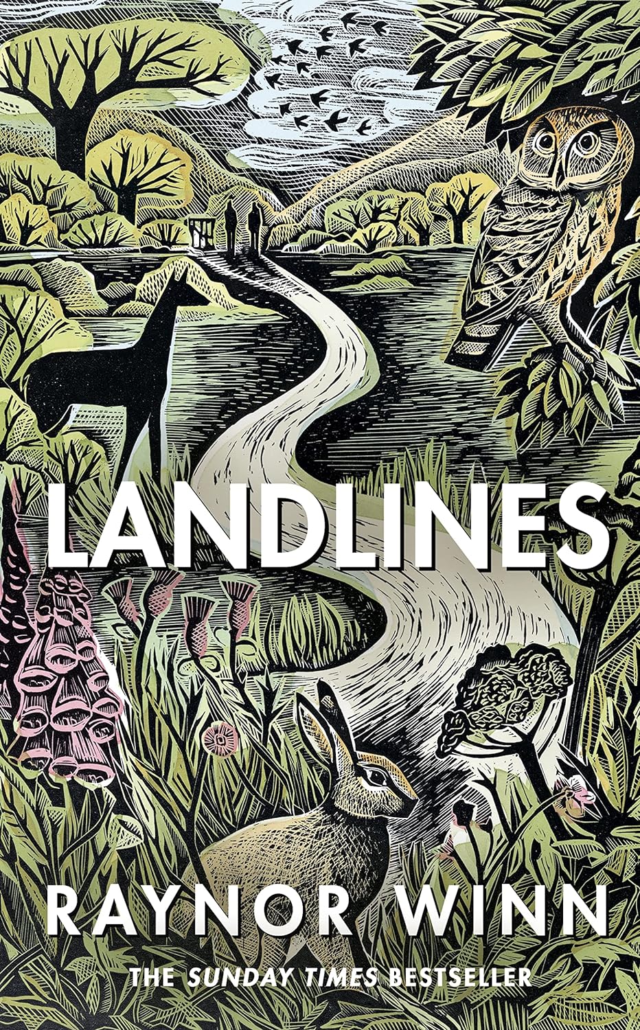 Raynor Winn: Landlines (2022, Penguin Books, Limited)