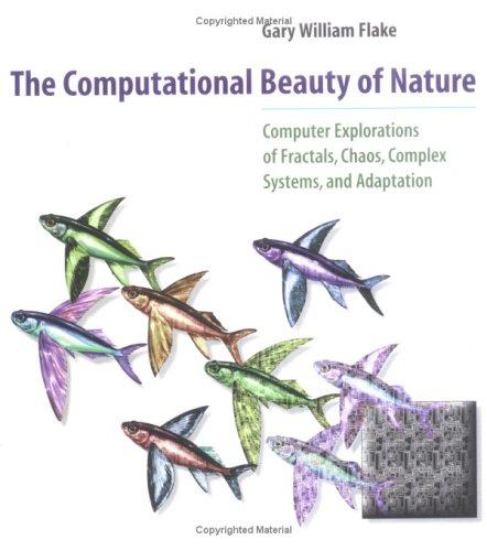 Gary William Flake: The Computational Beauty of Nature (Paperback, 2000, The MIT Press)