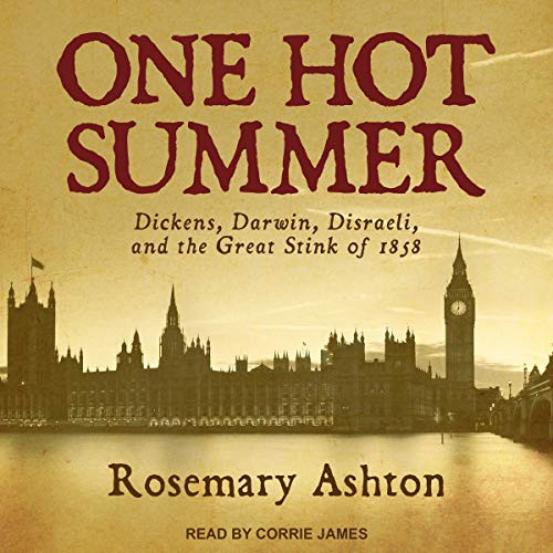 Corrie James, Rosemary Ashton: One Hot Summer (AudiobookFormat, 2017, Tantor Audio)