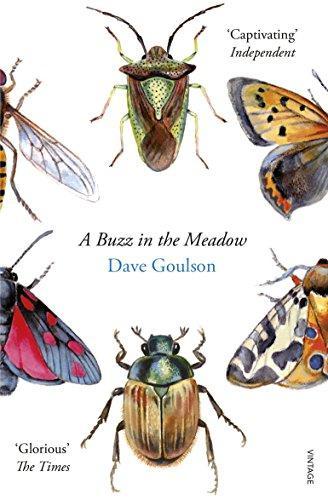 Dave Goulson: A Buzz in the Meadow (2015)