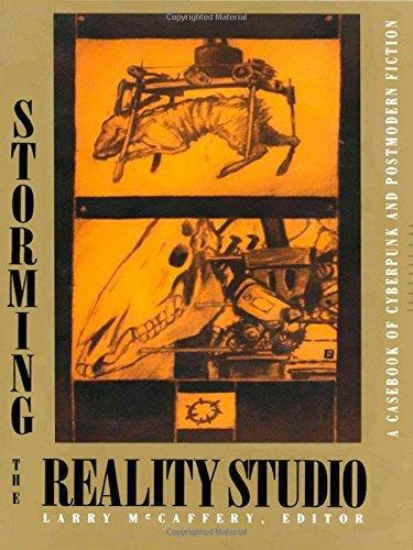 Larry McCaffery: Storming the Reality Studio (1991)