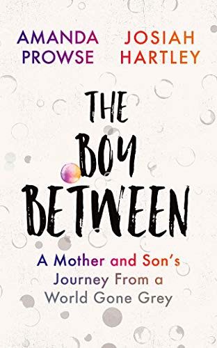 Amanda Prowse, Josiah Hartley: The Boy Between (AudiobookFormat, 2020, Brilliance Audio)