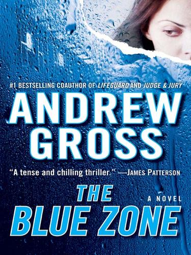 Andrew Gross: The Blue Zone (EBook, 2007, HarperCollins)