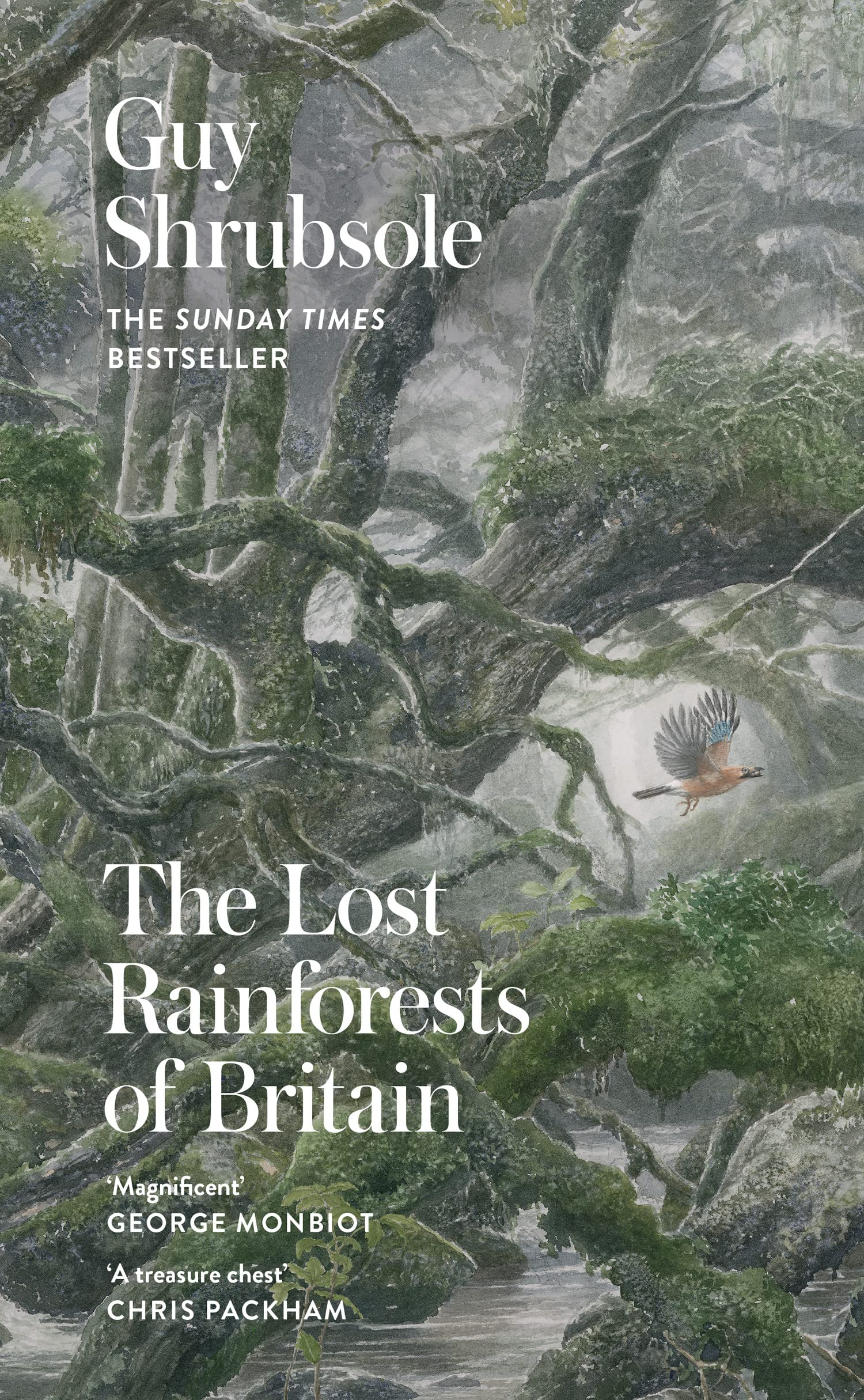 Guy Shrubsole: Lost Rainforests of Britain (2023, HarperCollins Publishers Limited)