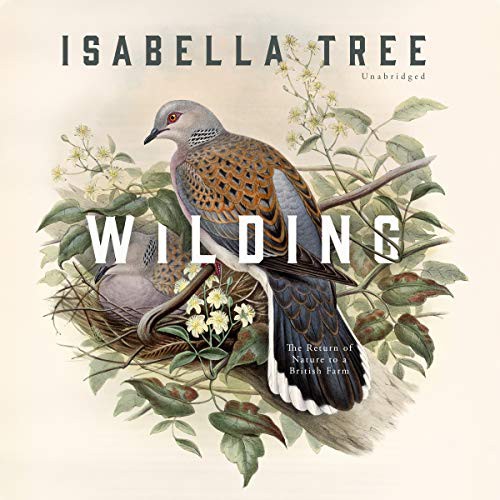 Isabella Tree: Wilding (AudiobookFormat, 2020, Blackstone Publishing)