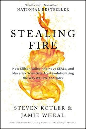 Steven Kotler, Jamie Wheal: Stealing Fire (2017, HarperCollins Publishers)