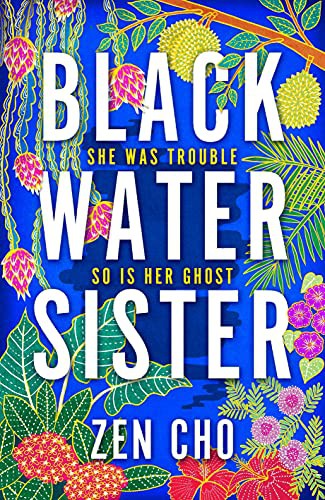 Zen Cho: Black Water Sister (Hardcover, 2021, Macmillan)