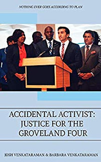 Accidental Activist (2021, Blurb, Incorporated)