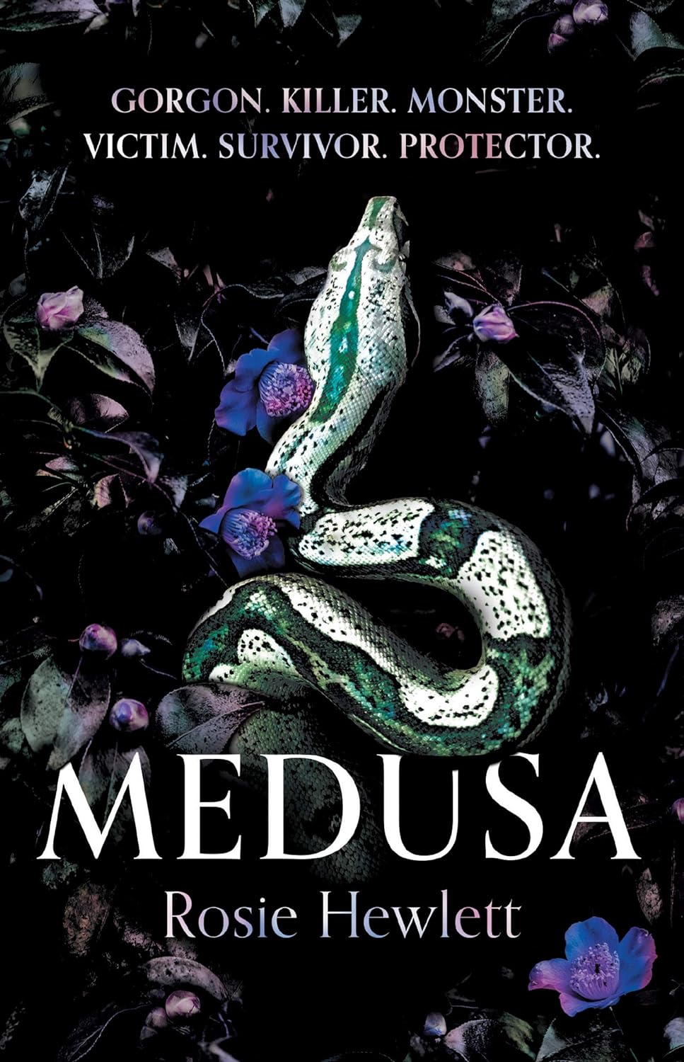 Rosie Hewlett: Medusa (EBook, SilverWood Books)