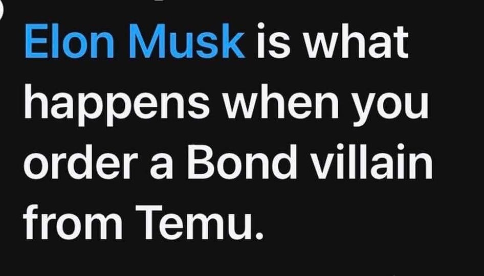 Elon Musk is what happens when you order a Bond villain from Temu.