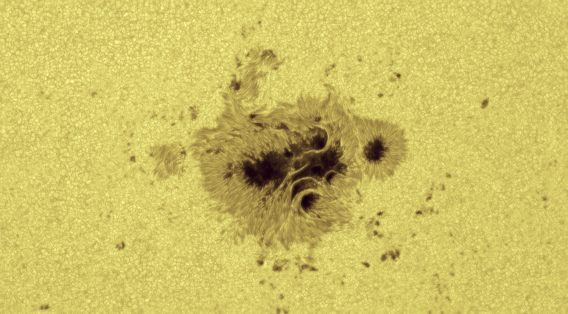 A picture of a central region of the solar disc showing a dark, amorphous region with spaghetti-like tendrils coming out of it. The surrounding area is full of solar granules.