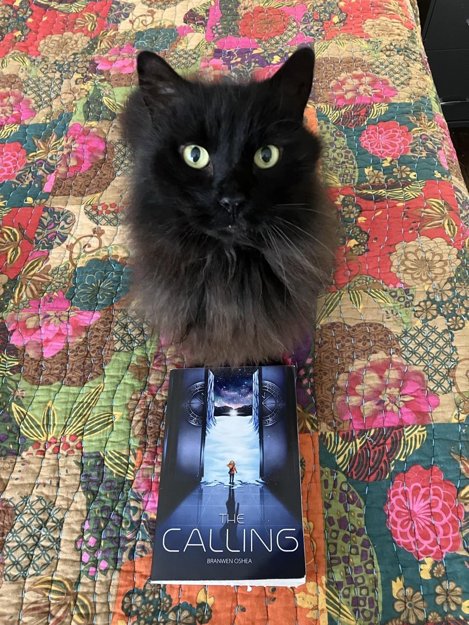 A long-haired, dark grey cat sits next to a copy of a book, The Calling, and looks up at the camera. While the book looks small next to the cat, it’s over 500 pages of an epic future ice age adventure.