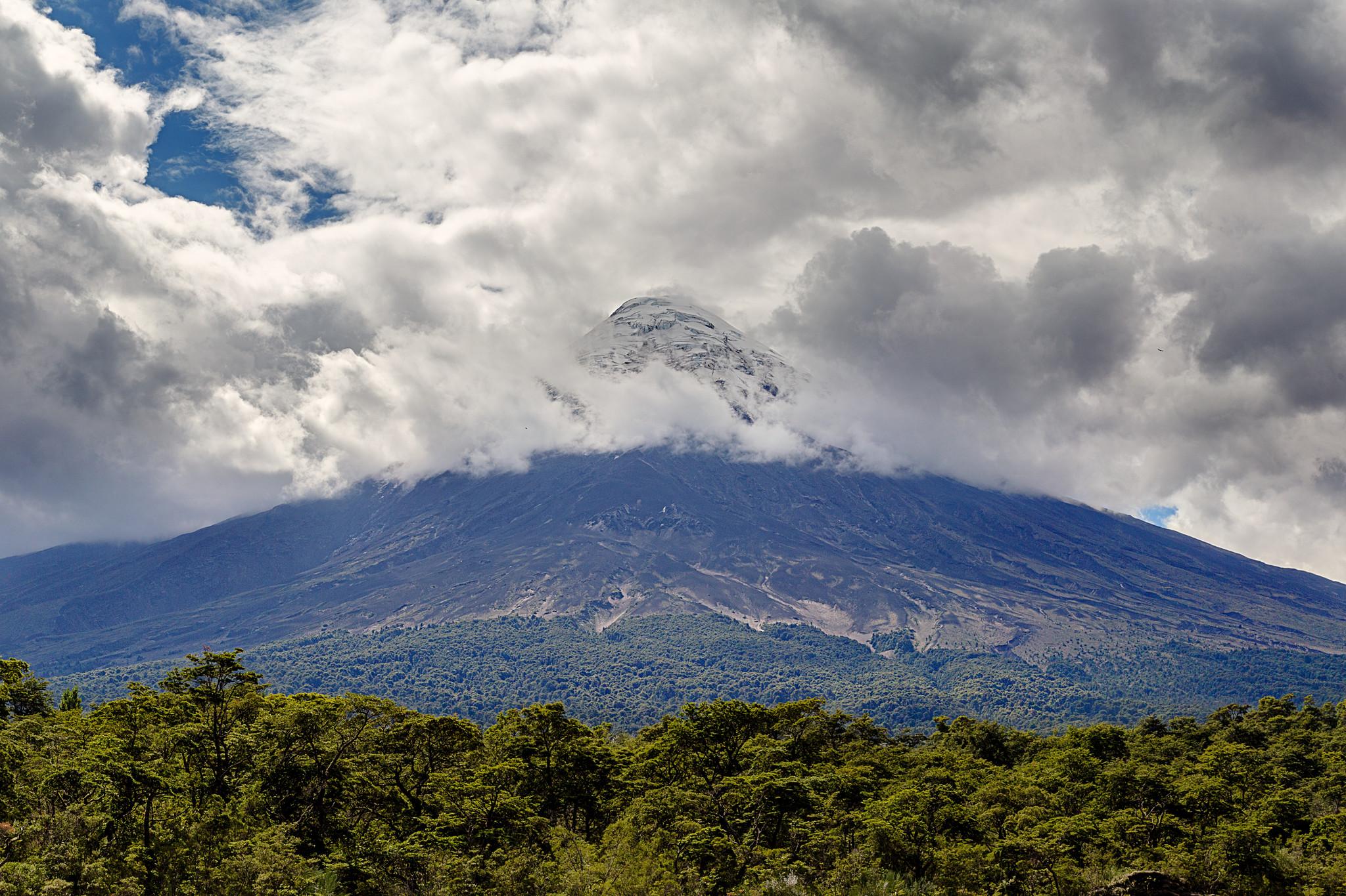 A cone-shaped volcano. The mountaintop is covered in snow and partially enshrouded by clouds. There's lush green vegetation in the foreground, at the bottom of the frame.