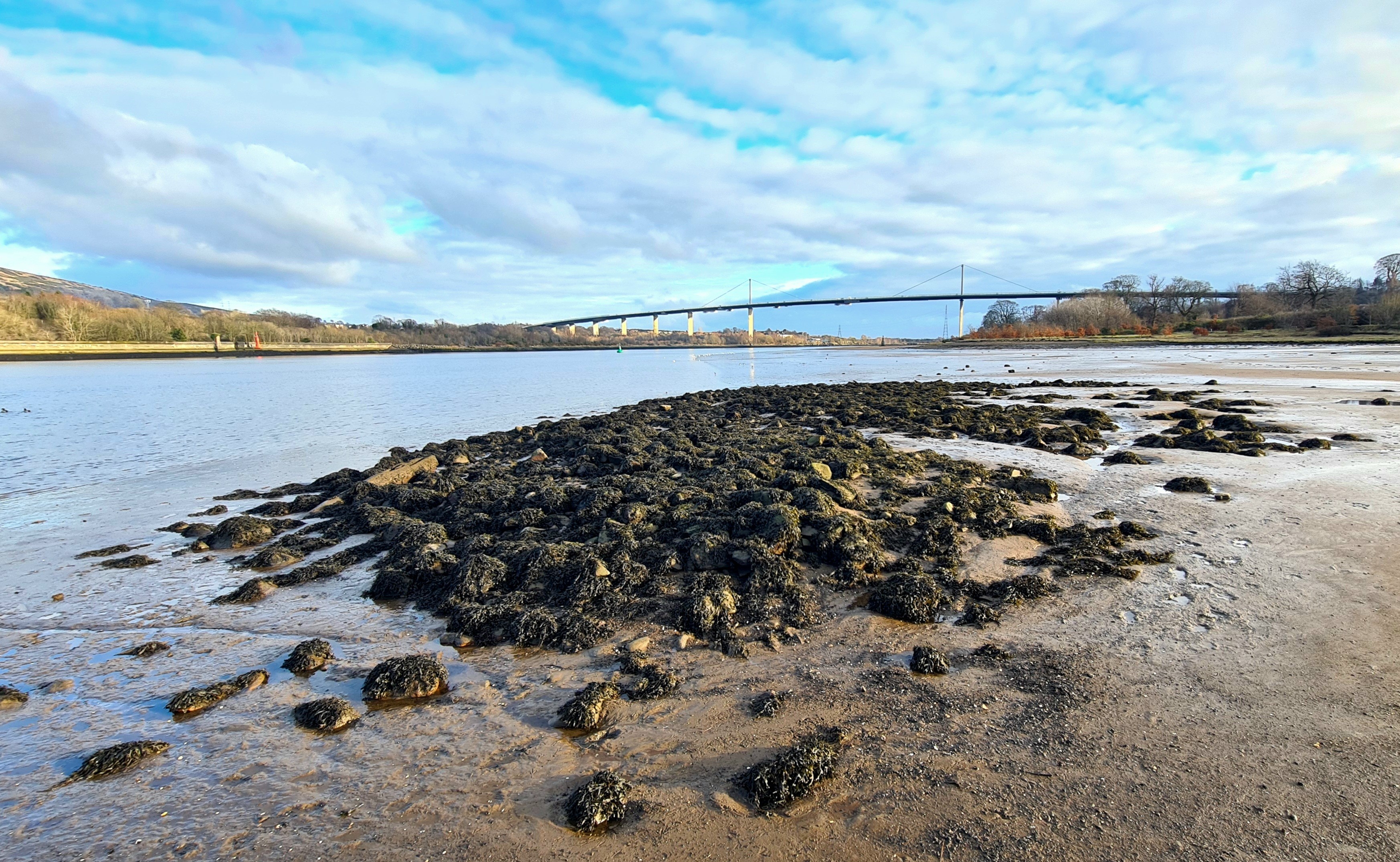 A pile of seaweed covered stones and ancient timbers on an otherwise sandy beach, with a 1970s suspension bridge in the background.