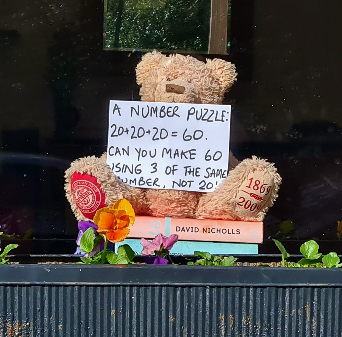 A teddu bear in a window holding a card which reads: A Number Puzzle. 20 plus 20 plus 20 equals 60. Can you make 60 using three of the same number, but not 20!