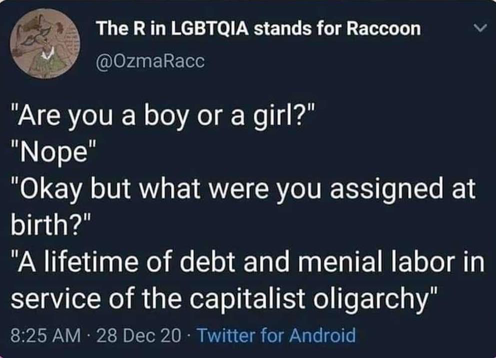   [Image description: a tweet by The R in LGBTQIA stands for Raccoon (@OzmaRacc) that says “Are you a boy or a girl?” “Nope” “Okay but what were you assigned at birth?” “A lifetime of debt and menial labor in service of the capitalist oligarchy”]