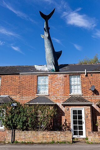 Large sculpture of a shark embedded headfirst in the roof of a redbrick terrace house under a blue sky.