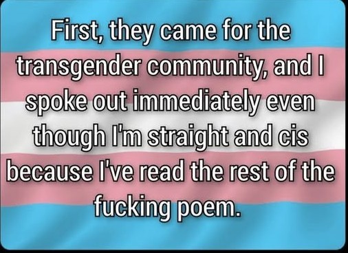 Text on a blue, pink and white horizontal striped background reads "First they came for the transgender community, and I spoke out immediately even though I am straight and cis because I`ve read the rest of the fucking poem"