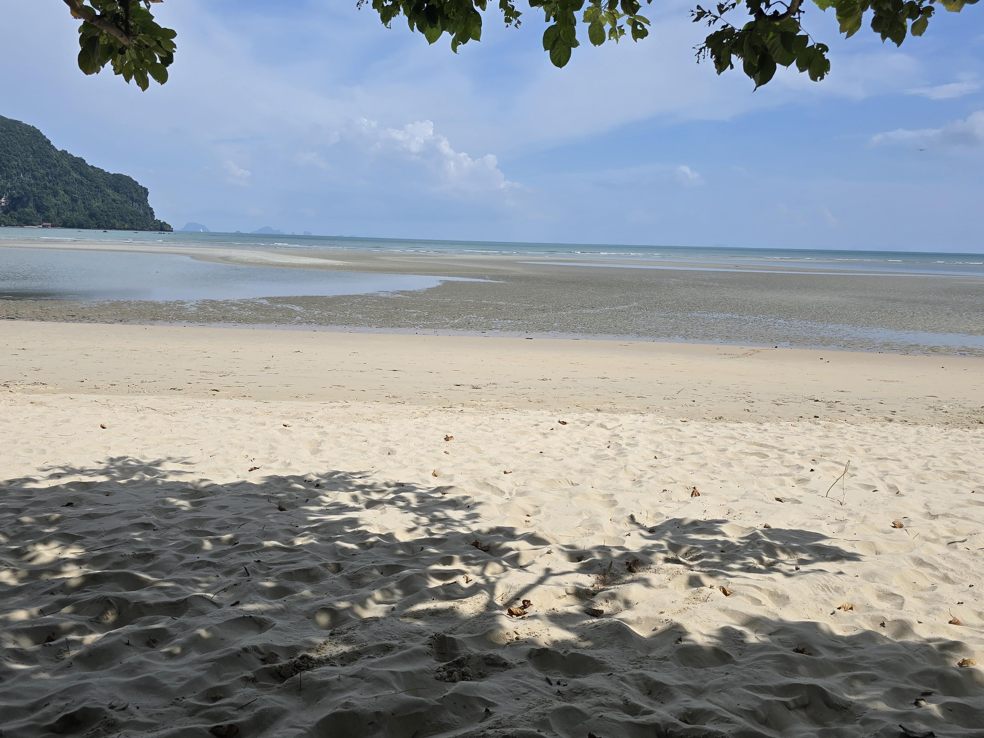 A deserted sandy beach, hazy clouds in a blue sky, the tide almost completely out.
The shadows from the trees above us on the sand