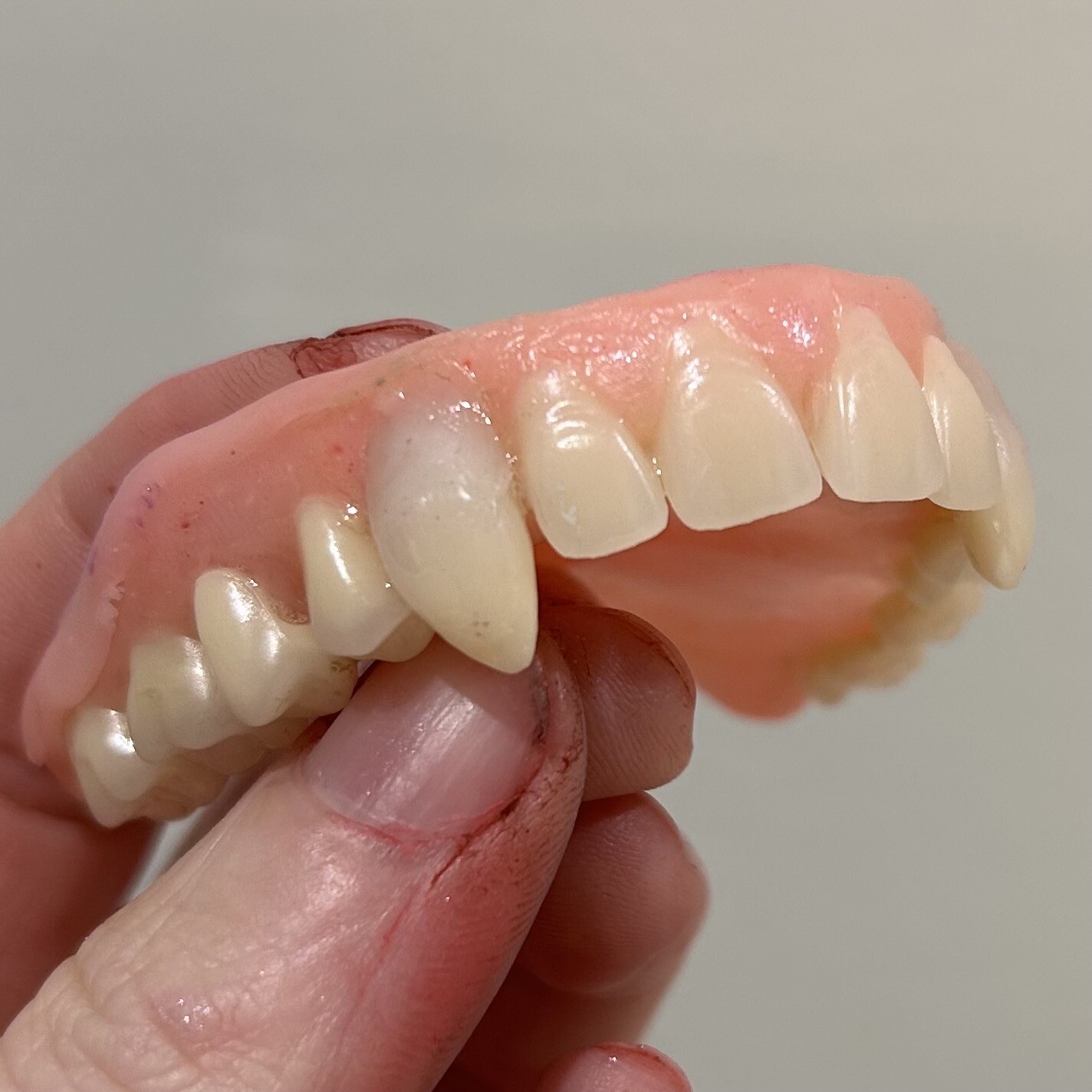 Close up of vampire dentures 