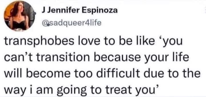 J Jennifer Espinoza

@sadqueer4life

transphobes love to be like ‘you can’t transition because your life will become too difficult due to the way i am going to treat you’ 