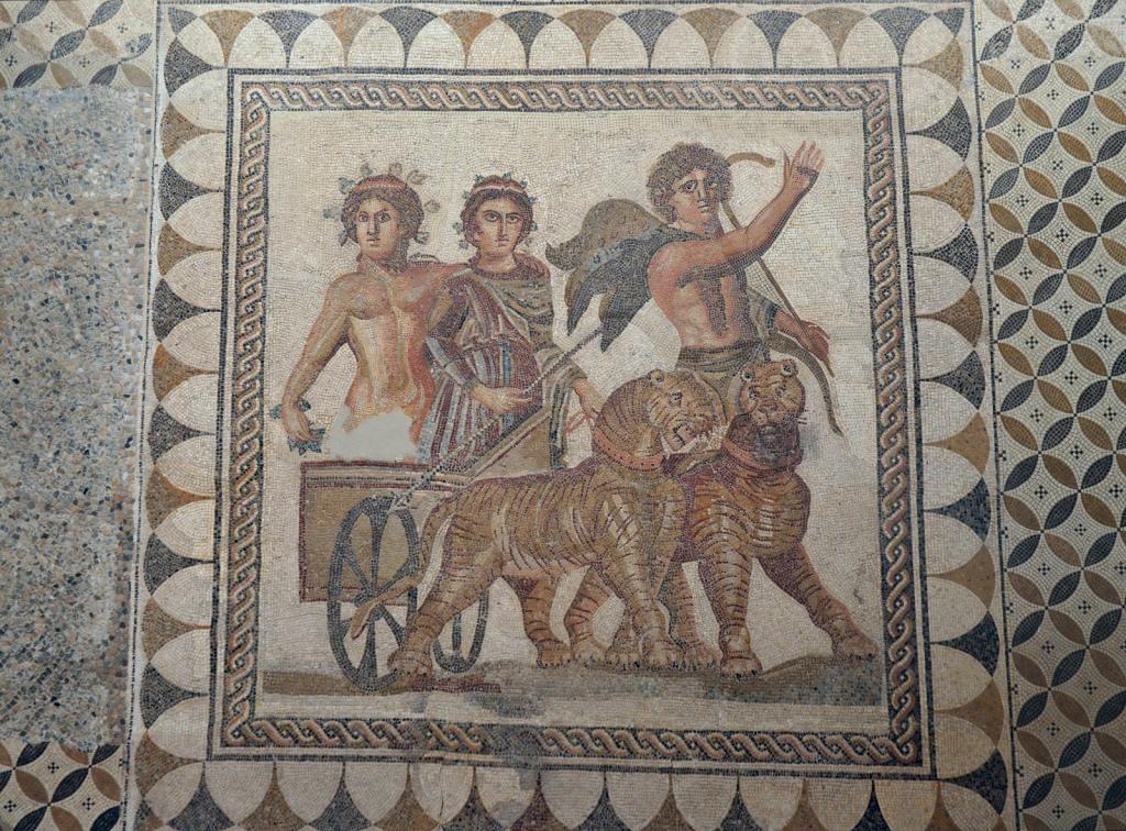 Mosaic of a grim-looking Dionysos riding a chariot drawn by a team of tigers on his way back from his war in India. The god is richly dressed in a long-sleeved purple garment. His head is adorned by a golden circlet and ivy leaves. Next to him stands his lover Ampelos in the nude, also wearing the same golden circlet and grapevine leaves. He has his left arm slung around Dionysos' shoulder. His crotch has been damaged with mosaic tiles missing, possibly on purpose. Next to the wagon walks a satyr with sharp abs and a shepherd's crook in his hand. He wears a kilt and a leopard-skin cloak billows behind him.